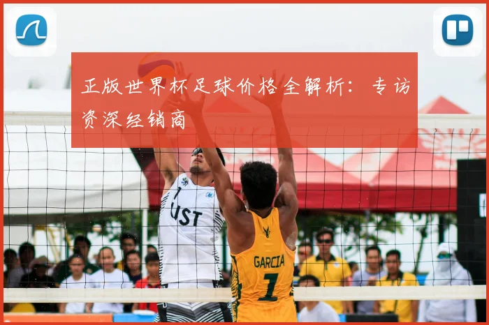 正版世界杯足球价格全解析：专访资深经销商