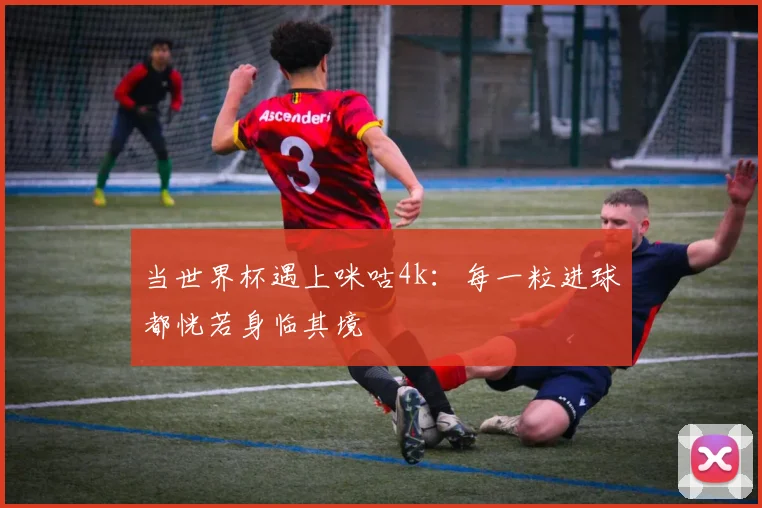 当世界杯遇上咪咕4k:每一粒进球都恍若身临其境